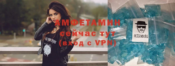 Альфа ПВП Лагань