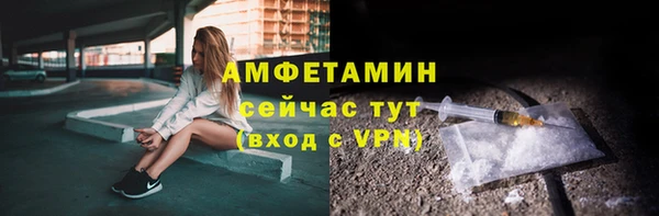 ешки Тайга