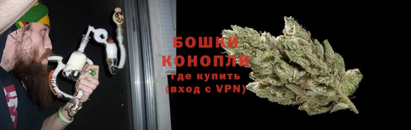 ешки Тайга