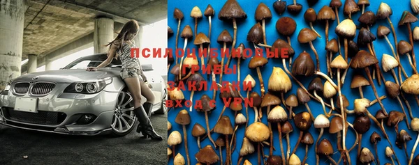 таблы Тавда