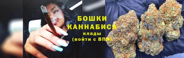 ешки Тайга