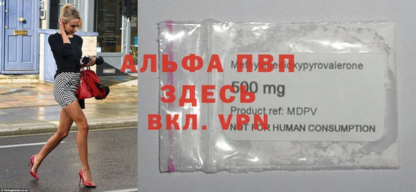 ешки Тайга