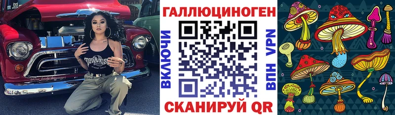 Псилоцибиновые грибы Cubensis  mega маркетплейс  Бологое 